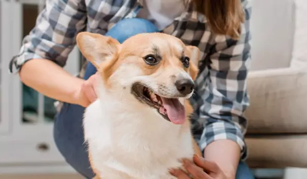 a pet owner with her dog