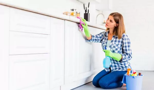 woman cleaning a kitchen countertop