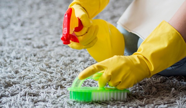 Carpet Shampooing at Home