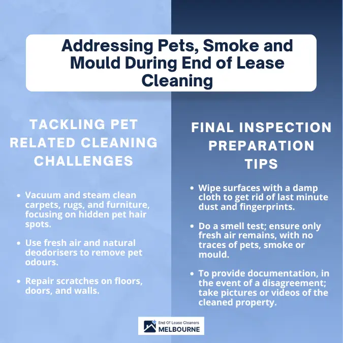 Addressing Pets, Smoke and Mould During End of Lease Cleaning