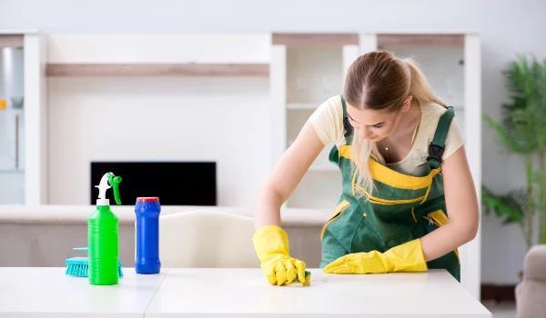 Focus on Cleaning the High Priority Areas
