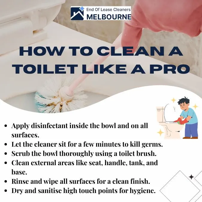 How to Clean a Toilet like a Pro