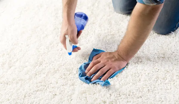 Cleaning and home concept - close up of male cleaning stain on carpet with cloth