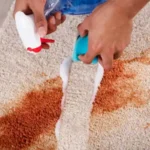 Janitor cleaning stain on carpet