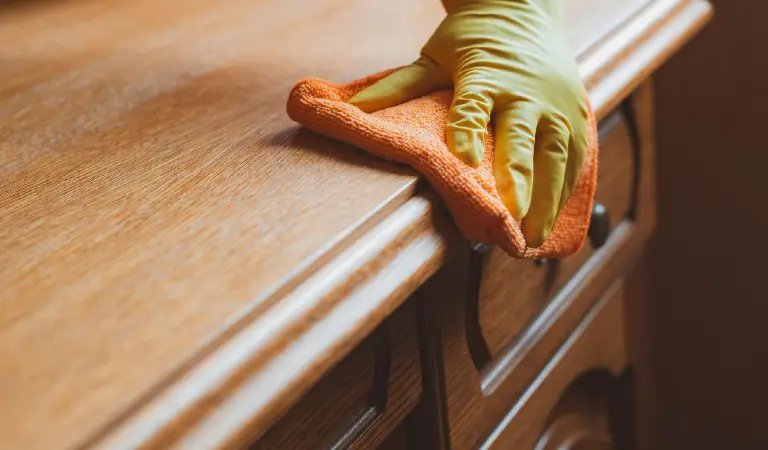 Cleaning and maintenance of wooden furniture chair table with rag and cleaning agent